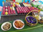 โครงการศึกษาดูงานการดำเนินงานตามหลักปรัชญาเศรษฐกิจพอเพียง ปร