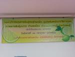 กิจกรรมศูนย์การเรียนรู้เสรษฐกิจพอเพียง การขยายพันธุ์มะนาว